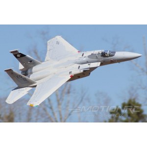 Радиоуправляемая модель самолета FreeWing F-15C Eagle PNP FJ30913P