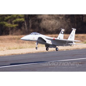 Радиоуправляемая модель самолета FreeWing F-15C Eagle PNP FJ30913P