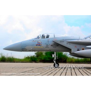 Радиоуправляемая модель самолета FreeWing F-15C Eagle PNP FJ30913P