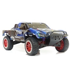 Машина Remo Hobby Truck 9emu 4WD RH1025