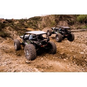 Axial Wraith™ 4WD RTR электро Краулер 1:10 2.4GHz без АКК и з/у AX90018