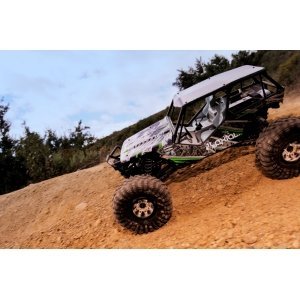 Axial Wraith™ 4WD RTR электро Краулер 1:10 2.4GHz без АКК и з/у AX90018