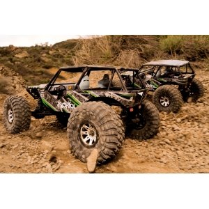 Axial Wraith™ 4WD RTR электро Краулер 1:10 2.4GHz без АКК и з/у AX90018