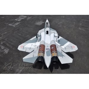 Радиоуправляемый самолет LX T-50 PNP - LX08026-PNP