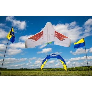 Радиоуправляемое крыло Blade Theory Type W FPV Ready (760мм) BNF Basic - BLH03055
